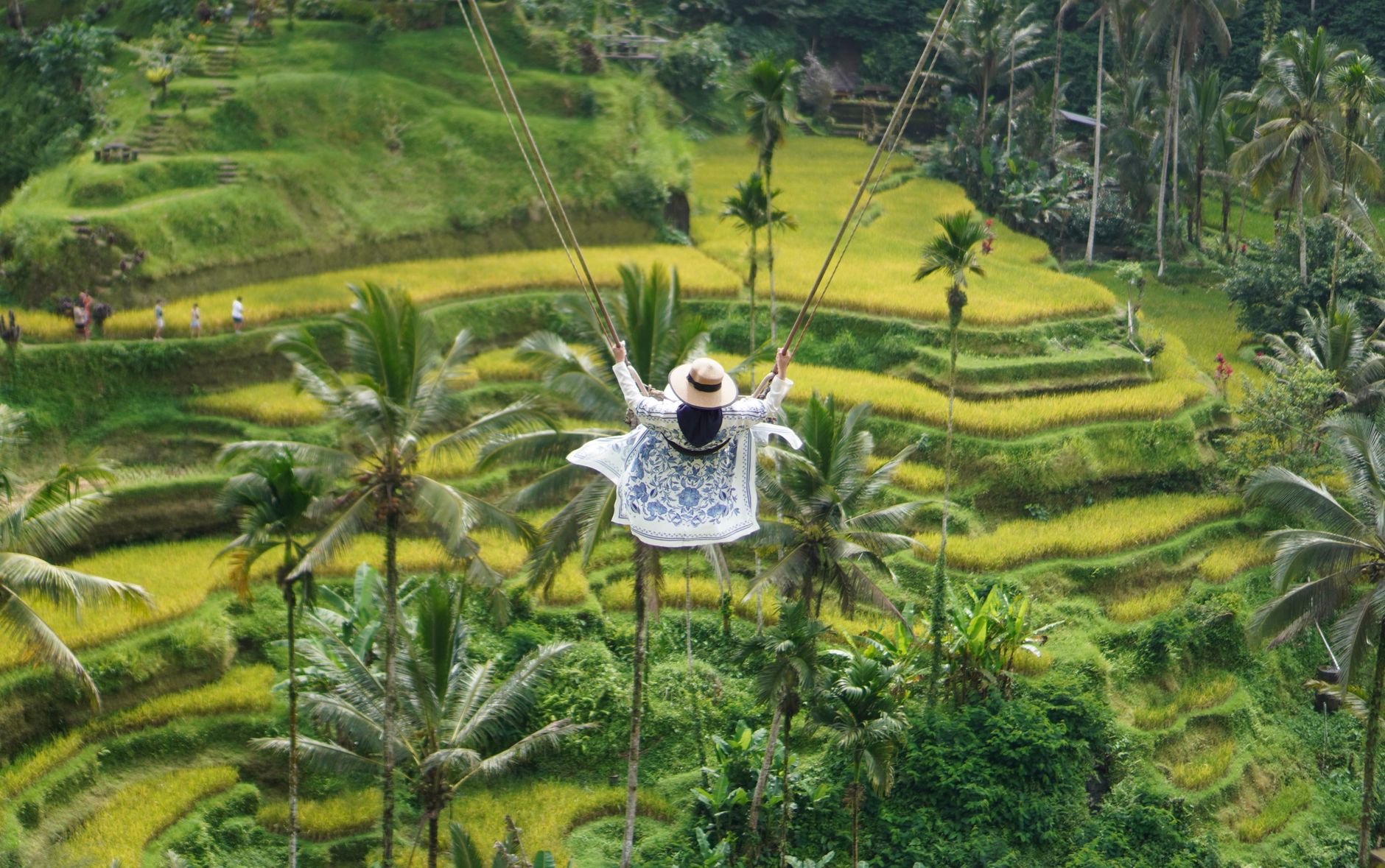 Traveler on extreme swing over Tegallalang terraced gorge