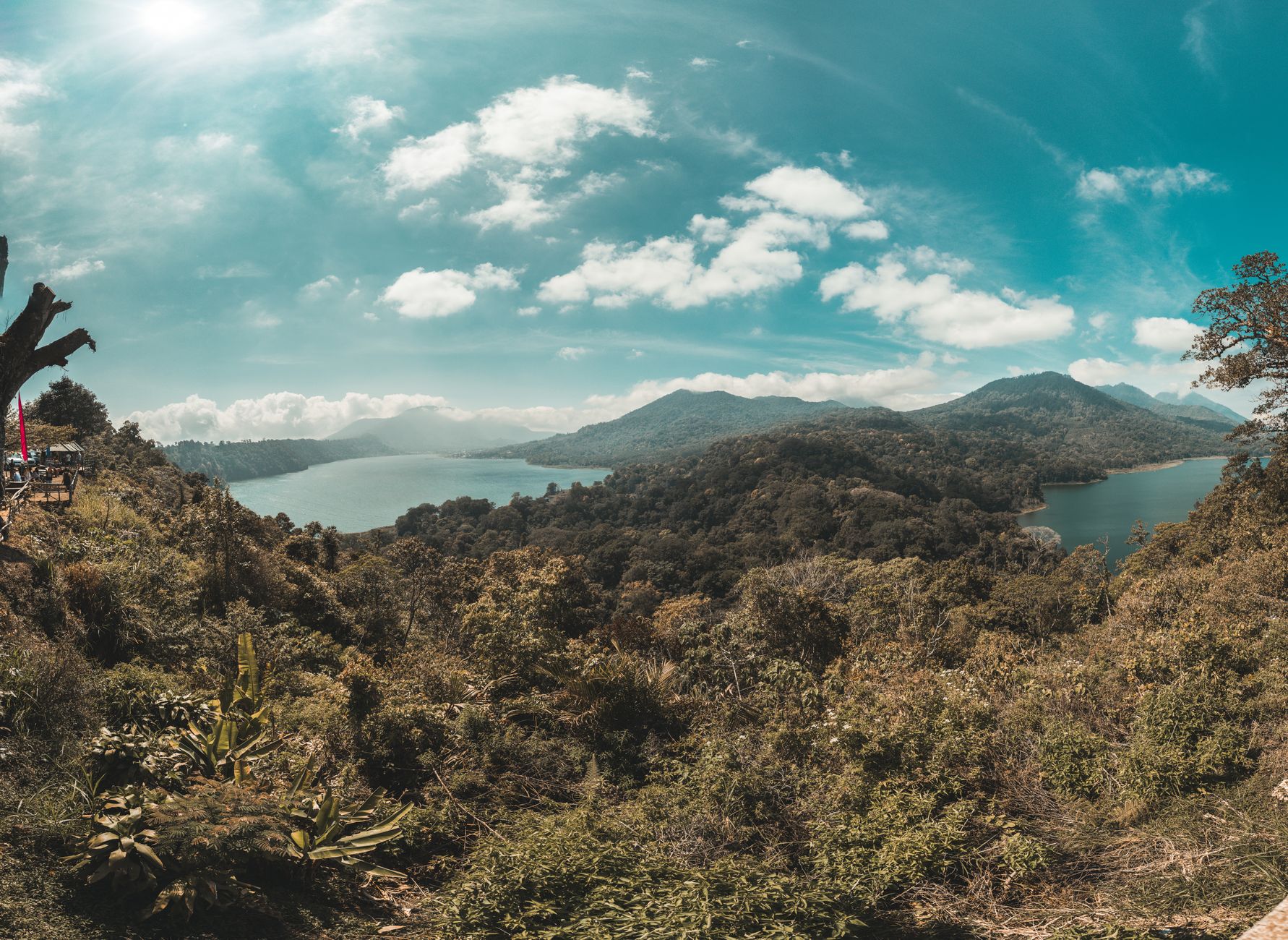 Misty high-elevation terraced hillsides and forest valleys in Munduk northern Bali